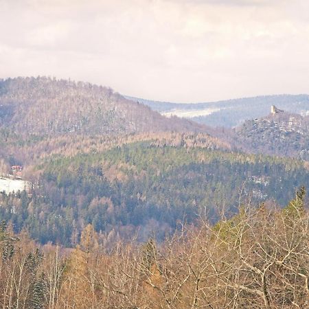 Vila Willa "Sniezna Kopa"-Agroturystyka Pro Zdrowotna Sosnówka Exteriér fotografie
