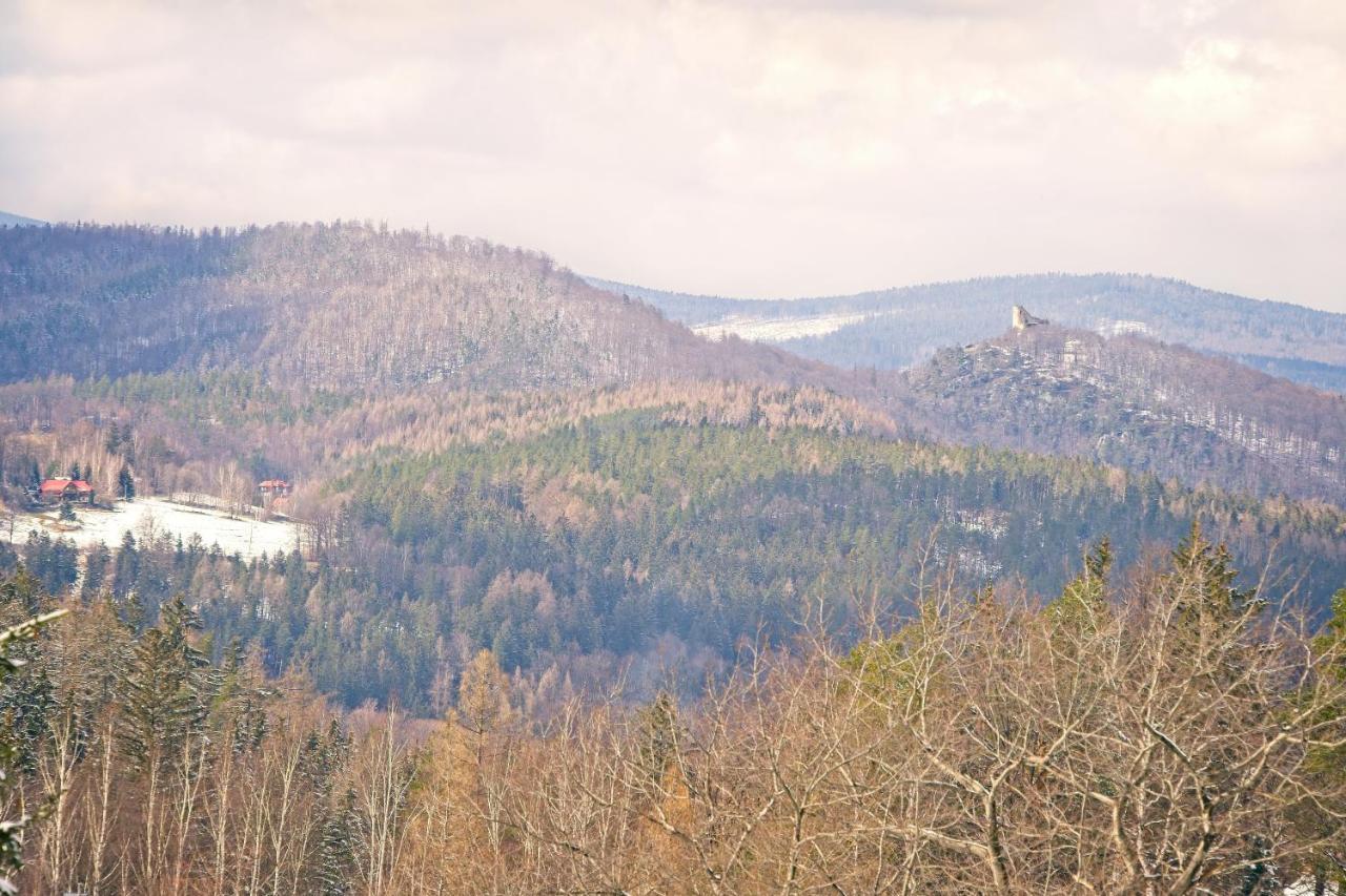 Vila Willa "Sniezna Kopa"-Agroturystyka Pro Zdrowotna Sosnówka Exteriér fotografie