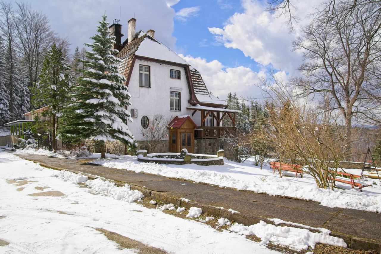 Vila Willa "Sniezna Kopa"-Agroturystyka Pro Zdrowotna Sosnówka Exteriér fotografie