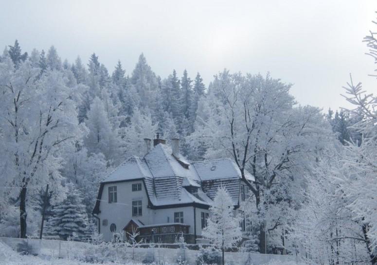Vila Willa "Sniezna Kopa"-Agroturystyka Pro Zdrowotna Sosnówka Exteriér fotografie